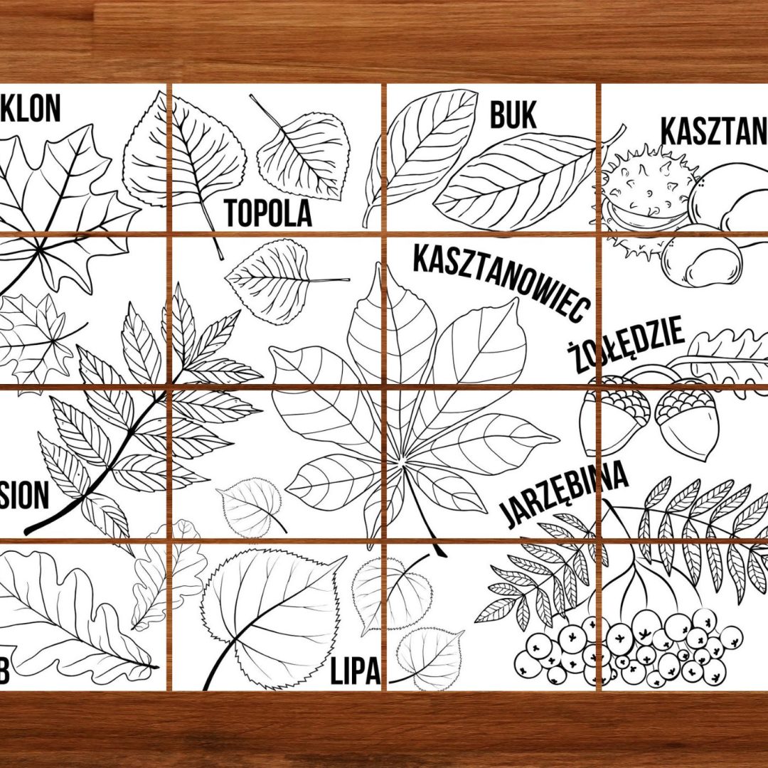 Jesienna edukacyjna kolorowanka XXL