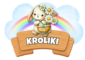 pakiet startowy grupa króliki, pakiet króliki, grup króliki